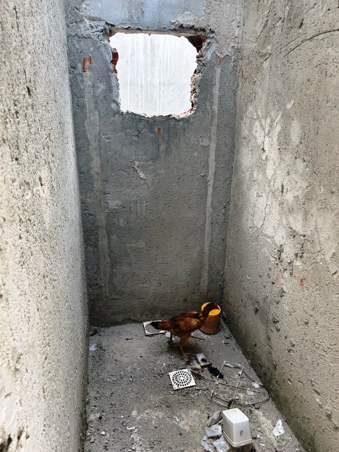 Casa para Venda em Res. Uairapuru, Senador Canedo (RNS-A018), Goiás