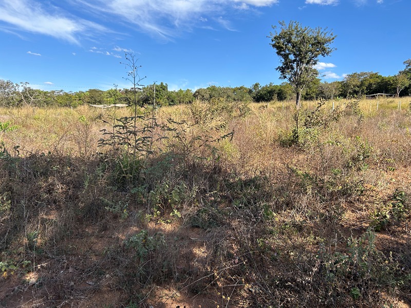 Chácara para Venda em Bonfinpolis (RNS 230), Goiás