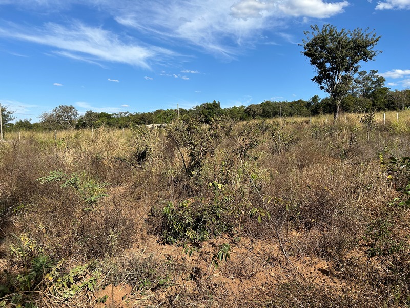 Chácara para Venda em Bonfinpolis (RNS 230), Goiás