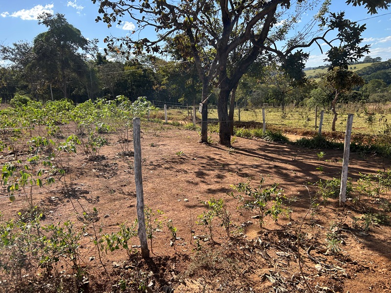 Chácara para Venda em Bonfinpolis (RNS 230), Goiás