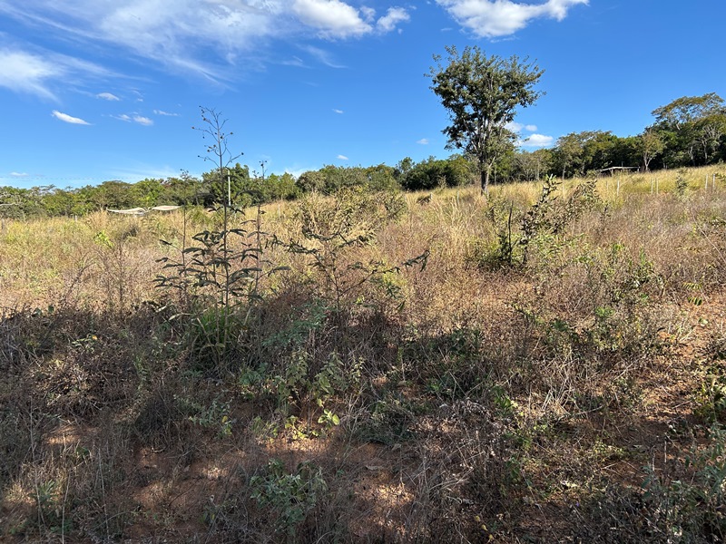 Chácara para Venda em Bonfinpolis (RNS 230), Goiás