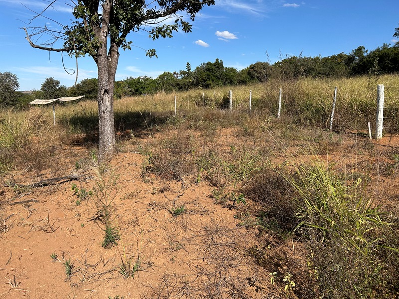 Chácara para Venda em Bonfinpolis (RNS 230), Goiás