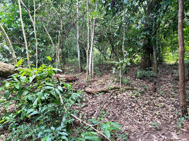 Loteamento Chácaras Paraiso das Águas em Senador Canedo, Goiás