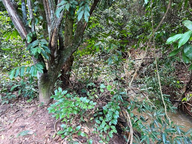 Loteamento Chácaras Paraiso das Águas em Senador Canedo, Goiás