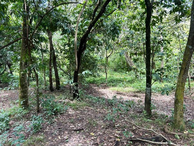 Loteamento Chácaras Paraiso das Águas em Senador Canedo, Goiás