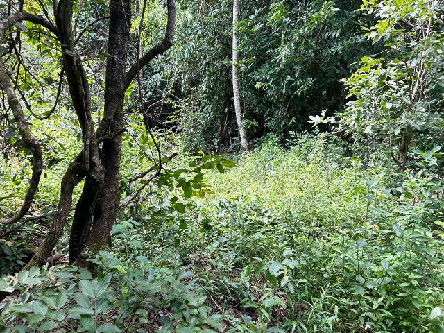 Loteamento Chácaras Paraiso das Águas em Senador Canedo, Goiás