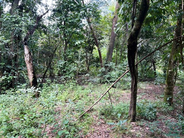 Loteamento Chácaras Paraiso das Águas em Senador Canedo, Goiás