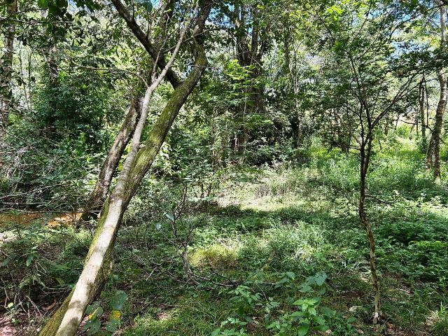 Loteamento Chácaras Paraiso das Águas em Senador Canedo, Goiás