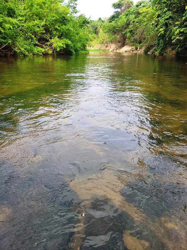 Chácara e Casa para Venda em Heitorai (RNSVND-0001), Goiás