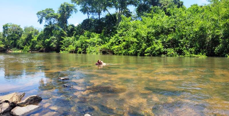 Chácara e Casa para Venda em Heitorai (RNSVND-0001), Goiás